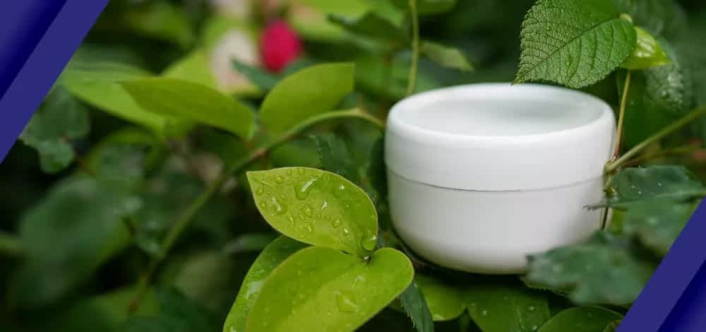 A skincare pod on a wet leaves
