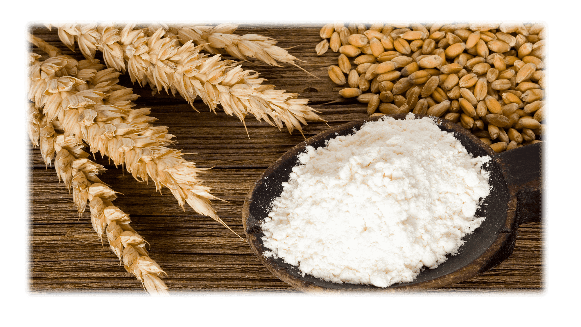 Buy Wheat Starch Supplier Philippines Wills International